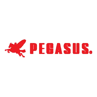 Pegasus logo